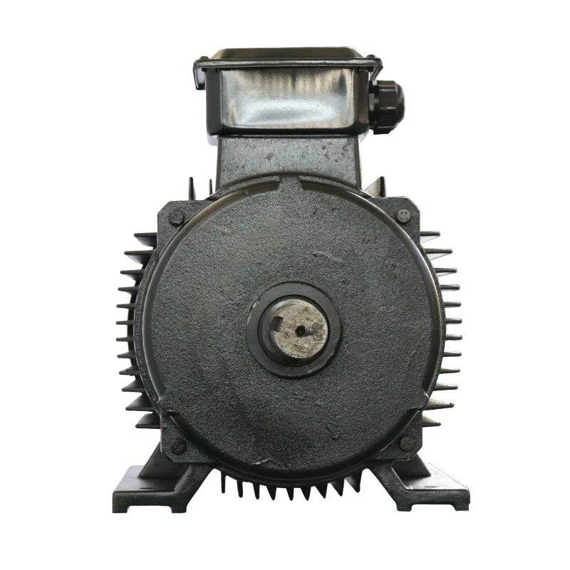 Heavy Duty Induction Motor Heavy Duty Induction Motor